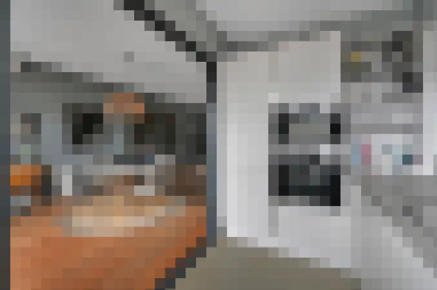 Kerstant van den Bergelaan 76 B Rotterdam thumbnail 19