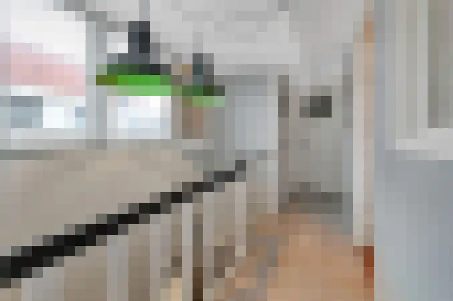 Kerstant van den Bergelaan 76 B Rotterdam thumbnail 27