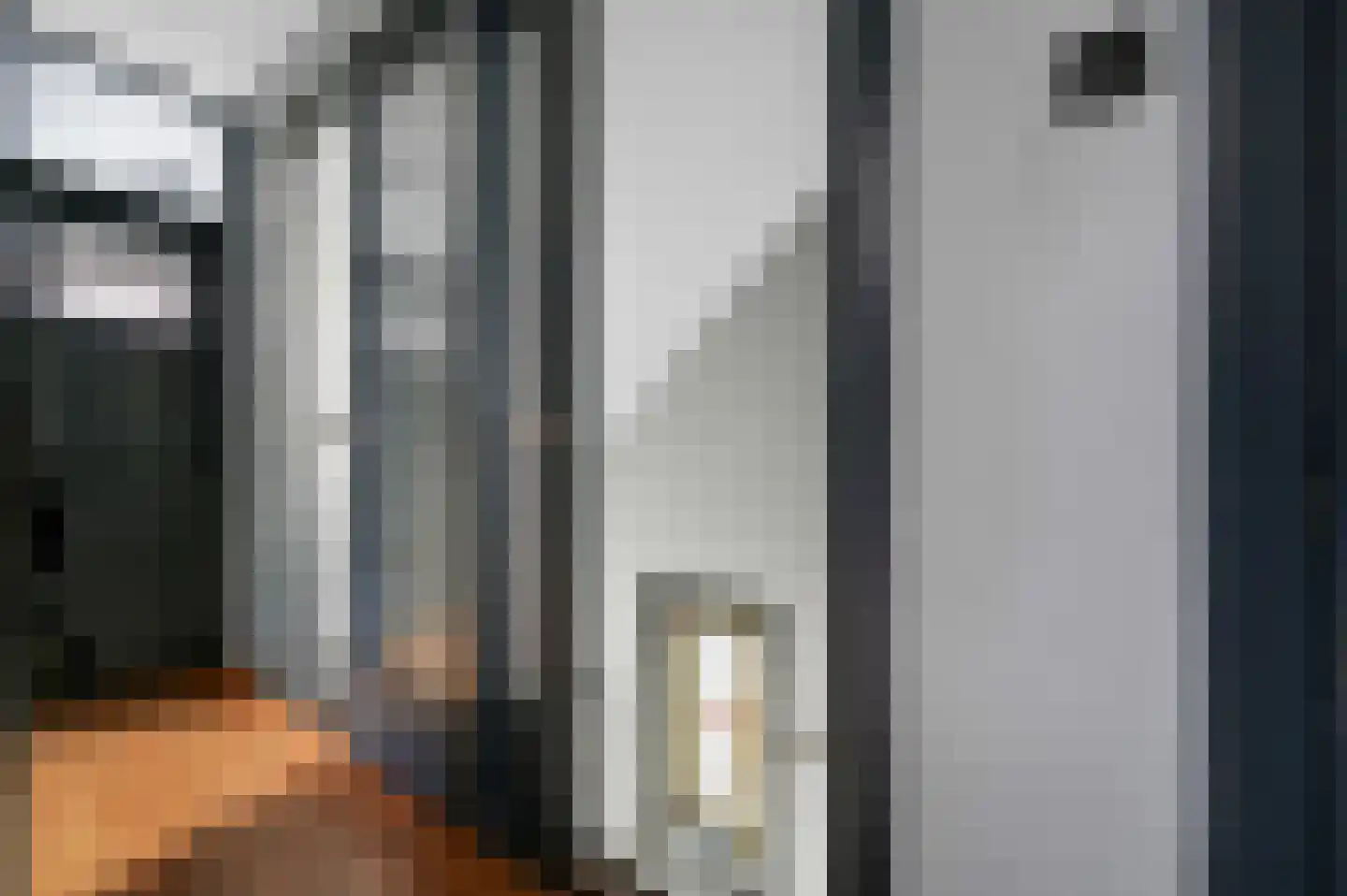Kerstant van den Bergelaan 76 B Rotterdam thumbnail 6