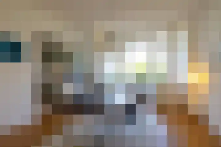 Kerstant van den Bergelaan 8 B Rotterdam thumbnail 12