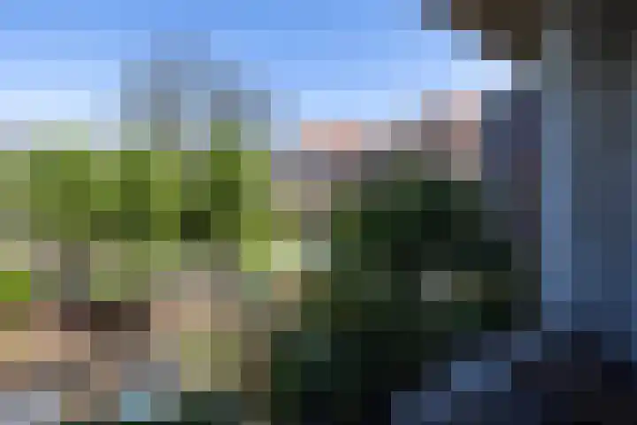 Kerstant van den Bergelaan 8 B Rotterdam thumbnail 20