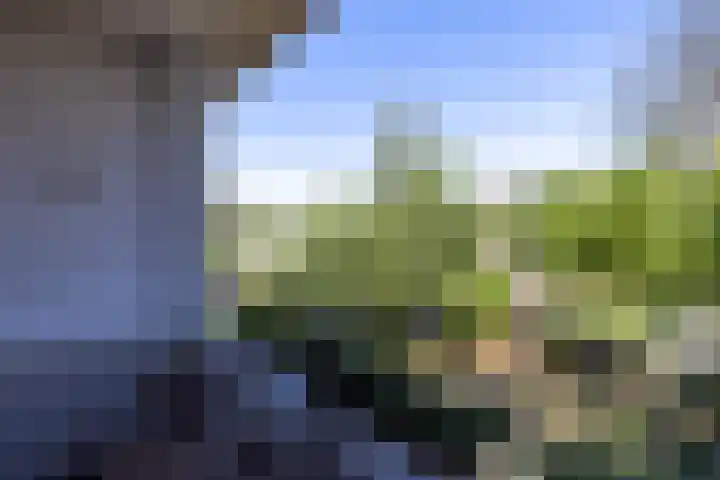 Kerstant van den Bergelaan 8 B Rotterdam thumbnail 21