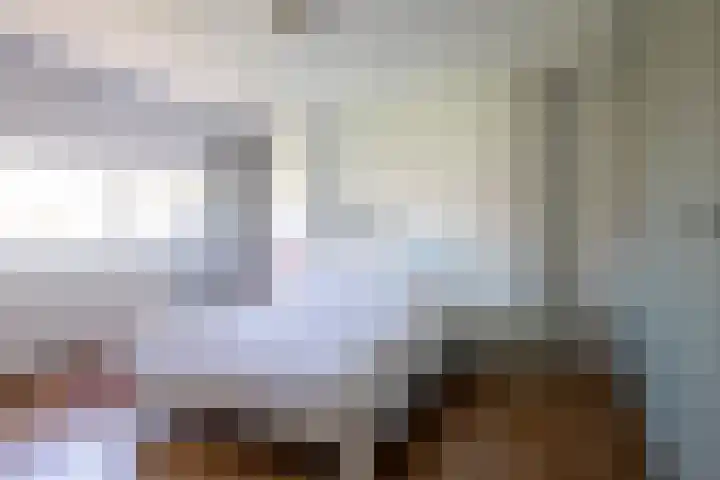 Kerstant van den Bergelaan 8 B Rotterdam thumbnail 24