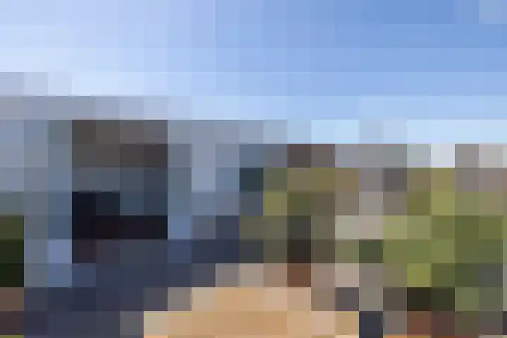 Kerstant van den Bergelaan 8 B Rotterdam thumbnail 44