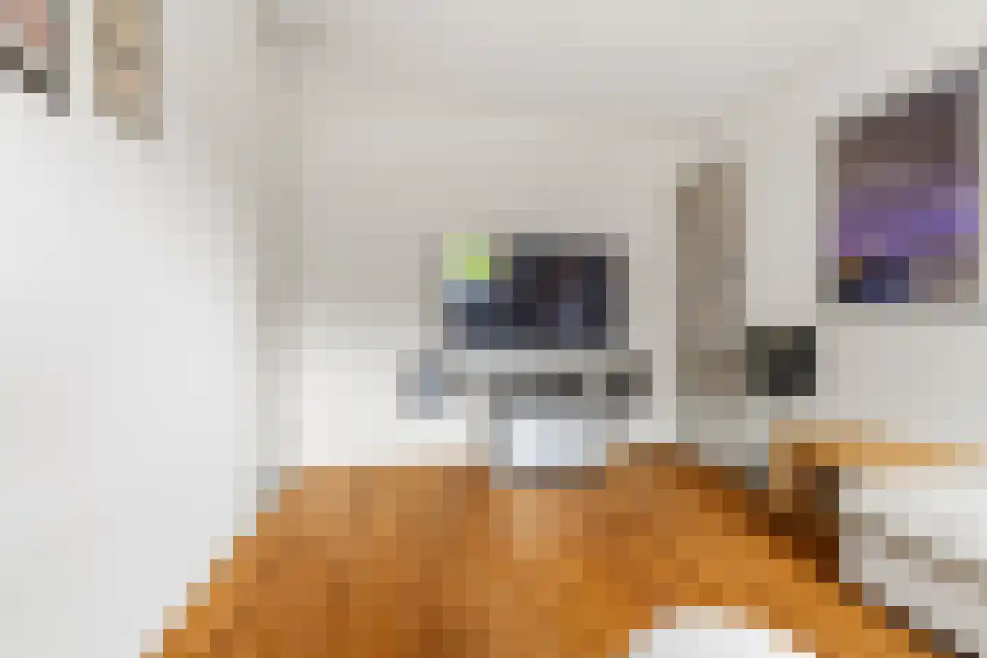 Kerstendalseweg 2 b Berg en Dal thumbnail 35
