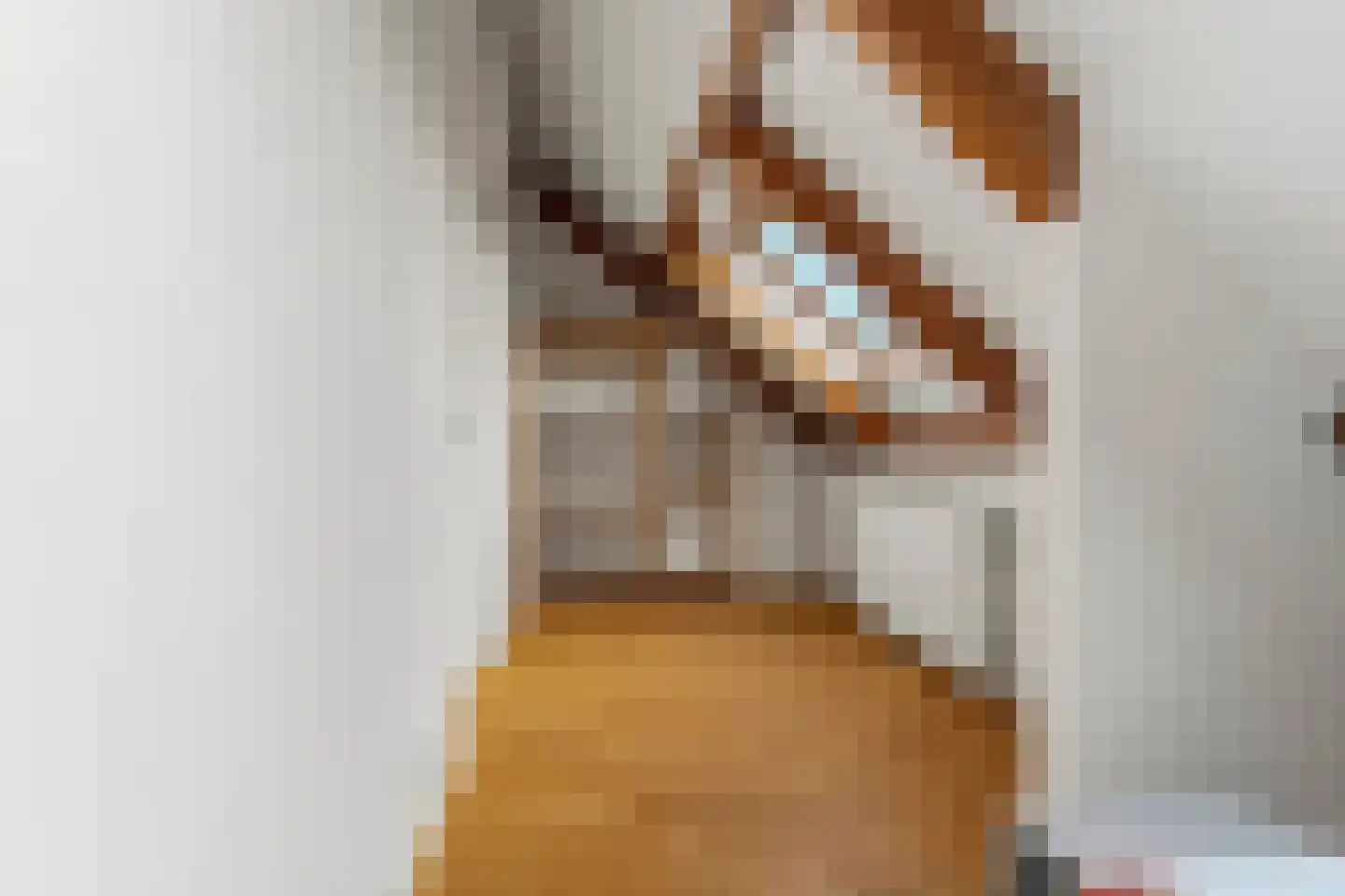 Kerstendalseweg 2 b Berg en Dal thumbnail 38