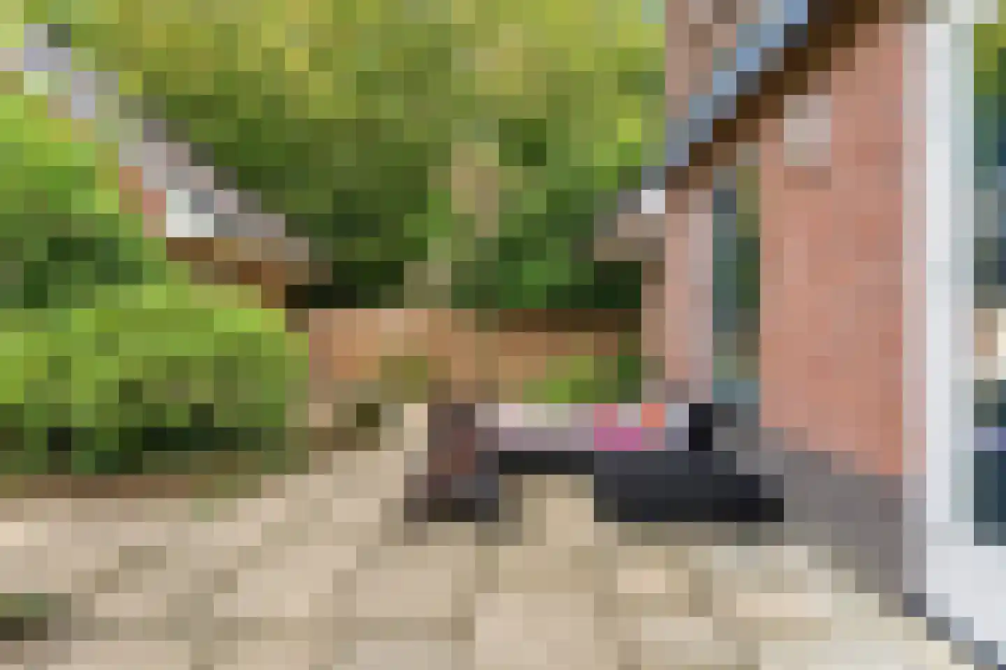 Kerstendalseweg 2 b Berg en Dal thumbnail 45