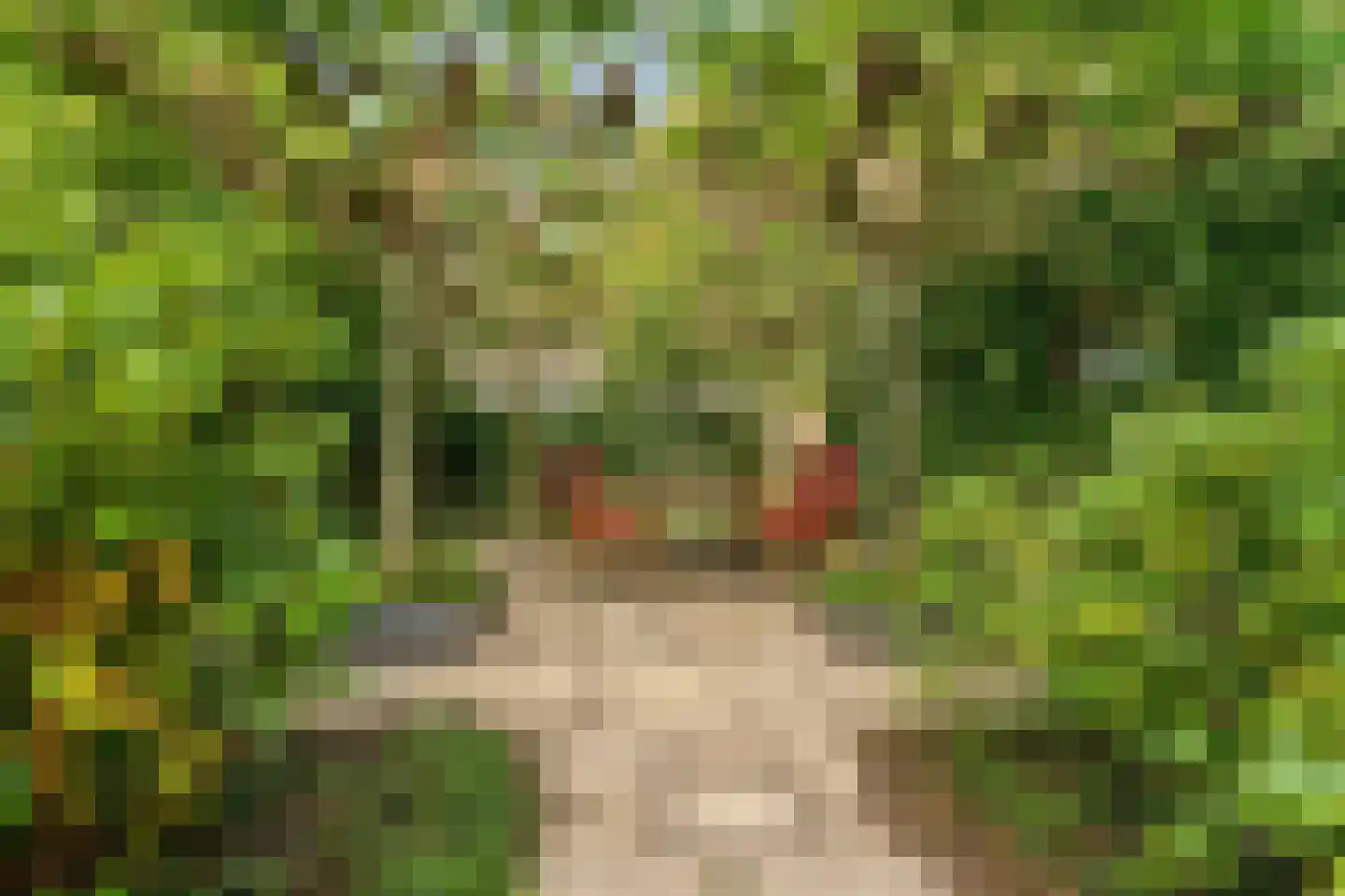 Kerstendalseweg 2 b Berg en Dal thumbnail 46