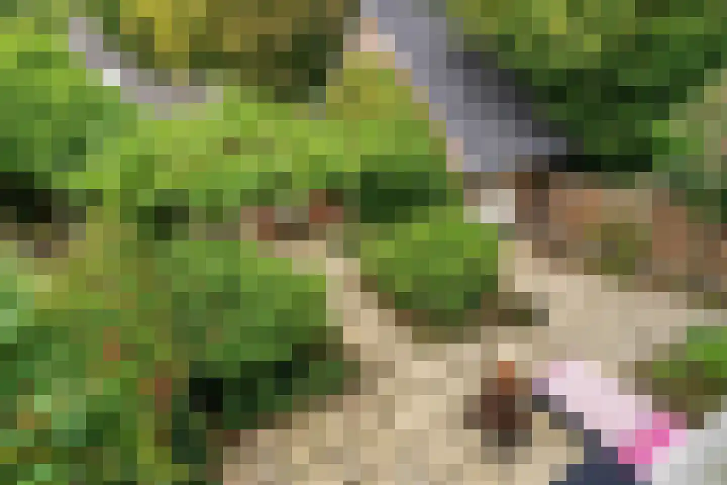 Kerstendalseweg 2 b Berg en Dal thumbnail 54