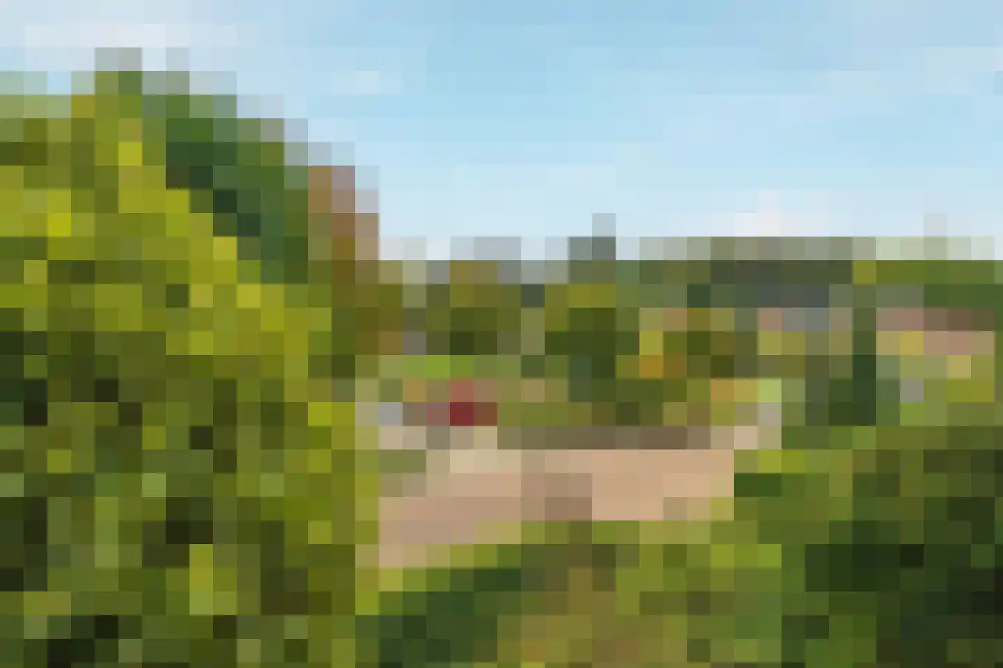 Kerstendalseweg 2 b Berg en Dal thumbnail 56