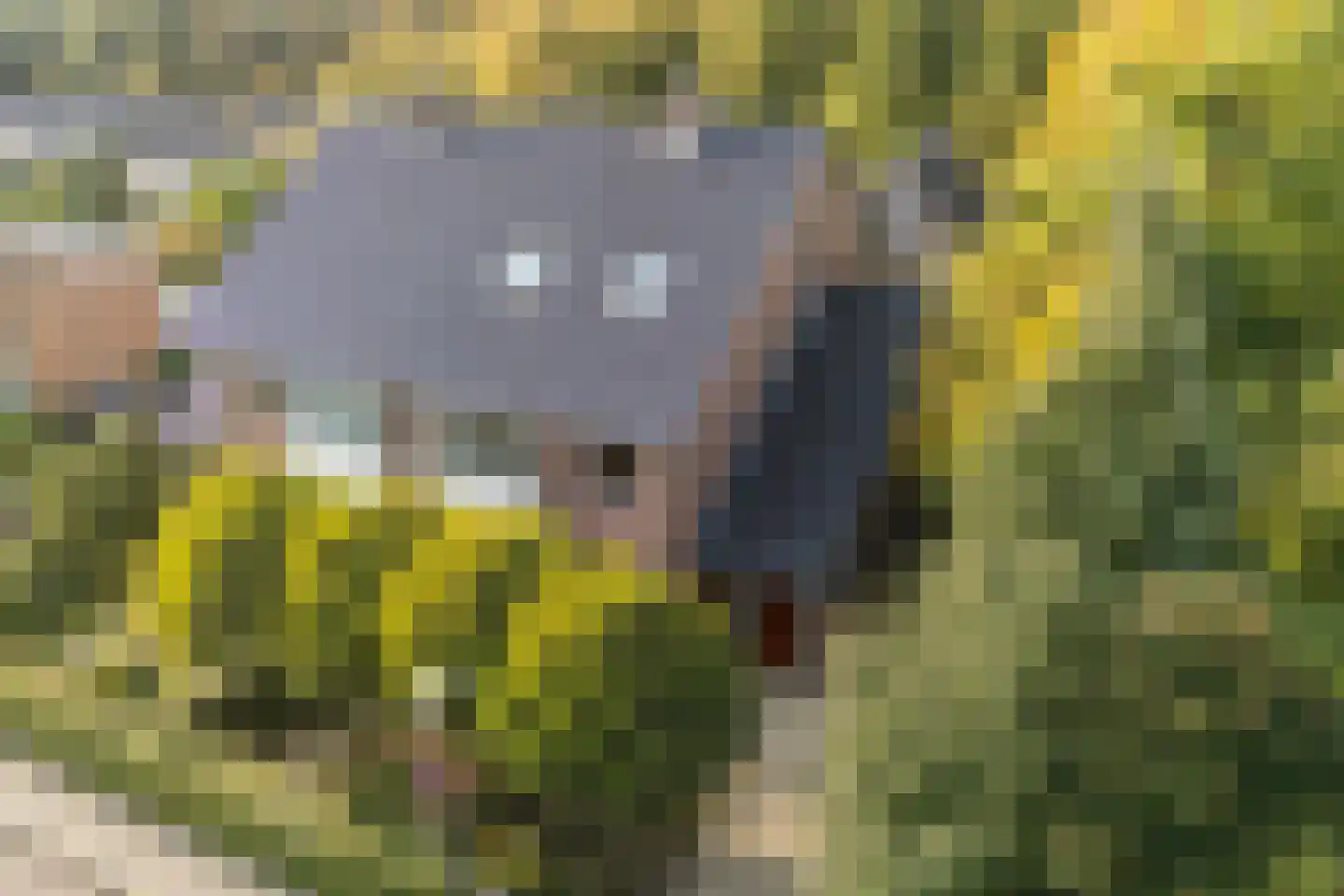 Kerstendalseweg 2 b Berg en Dal thumbnail 61