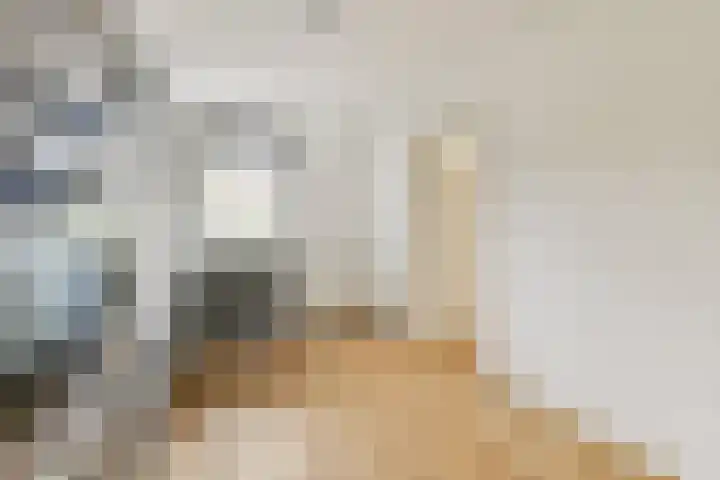 Kerstomaatplantsoen 17 Amsterdam thumbnail 10