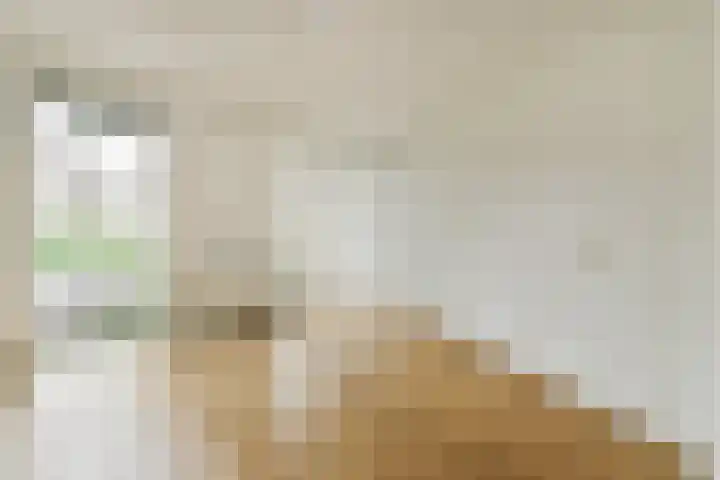 Kerstomaatplantsoen 17 Amsterdam thumbnail 11