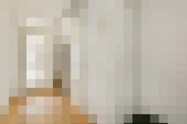 Kerstomaatplantsoen 17 Amsterdam thumbnail 14