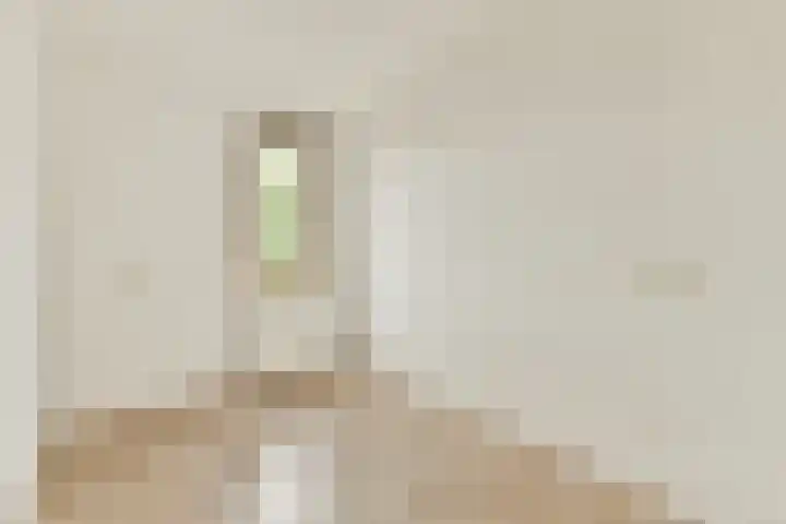 Kerstomaatplantsoen 17 Amsterdam thumbnail 16