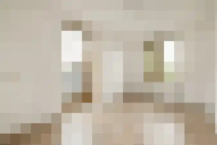 Kerstomaatplantsoen 17 Amsterdam thumbnail 17