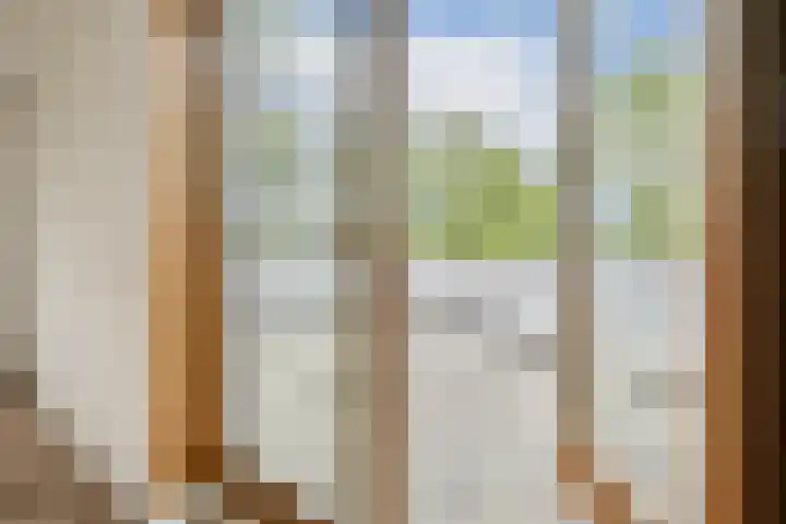 Kerstomaatplantsoen 17 Amsterdam thumbnail 23
