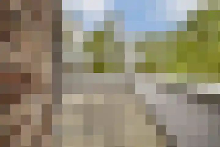 Kerstomaatplantsoen 17 Amsterdam thumbnail 25