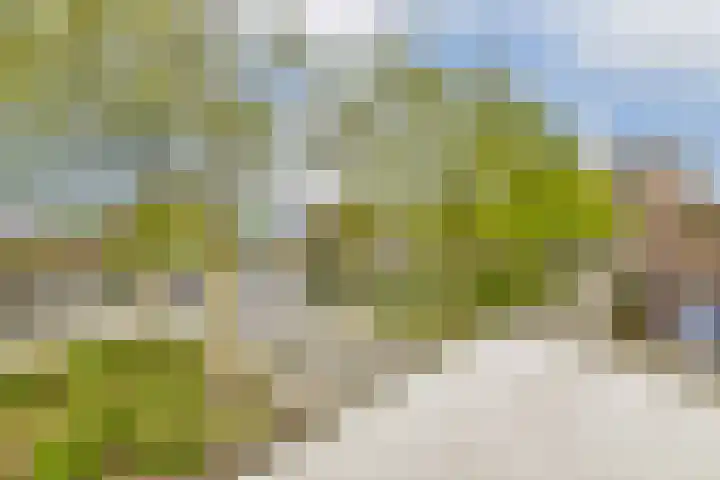 Kerstomaatplantsoen 17 Amsterdam thumbnail 26