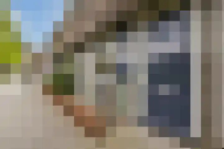 Kerstomaatplantsoen 17 Amsterdam thumbnail 28