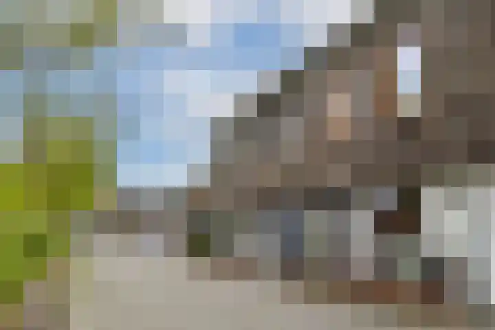 Kerstomaatplantsoen 17 Amsterdam thumbnail 29