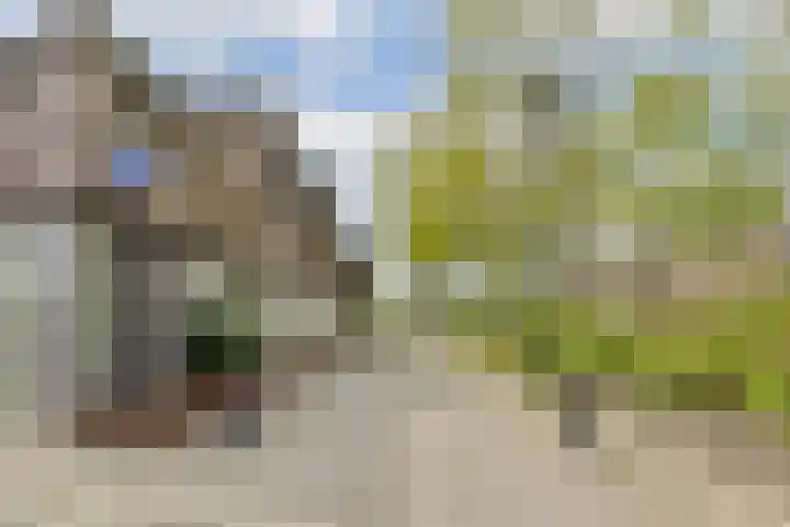 Kerstomaatplantsoen 17 Amsterdam thumbnail 30