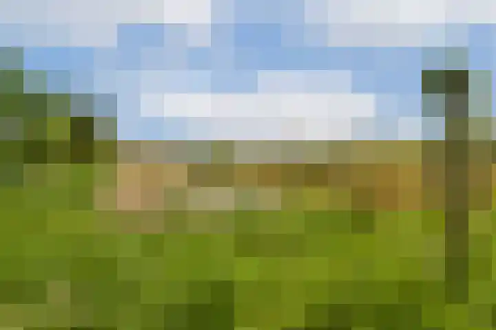 Kerstomaatplantsoen 17 Amsterdam thumbnail 31