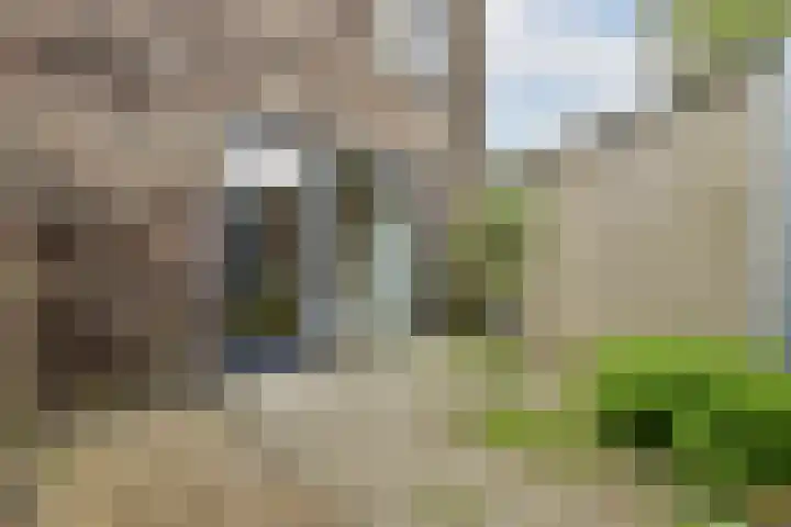 Kerstomaatplantsoen 17 Amsterdam thumbnail 4