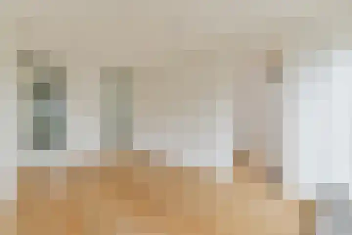 Kerstomaatplantsoen 17 Amsterdam thumbnail 5