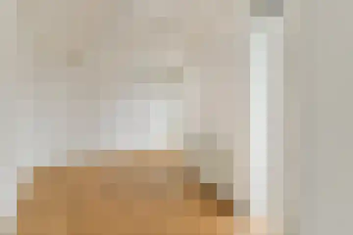 Kerstomaatplantsoen 17 Amsterdam thumbnail 6