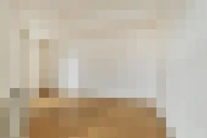 Kerstomaatplantsoen 17 Amsterdam thumbnail 7