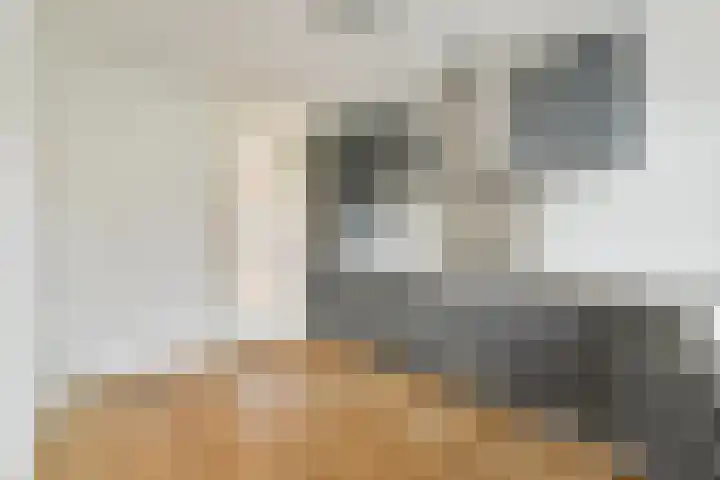 Kerstomaatplantsoen 17 Amsterdam thumbnail 8