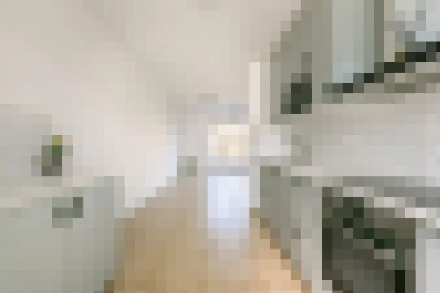 Kerstomaatplantsoen 20 Amsterdam thumbnail 10