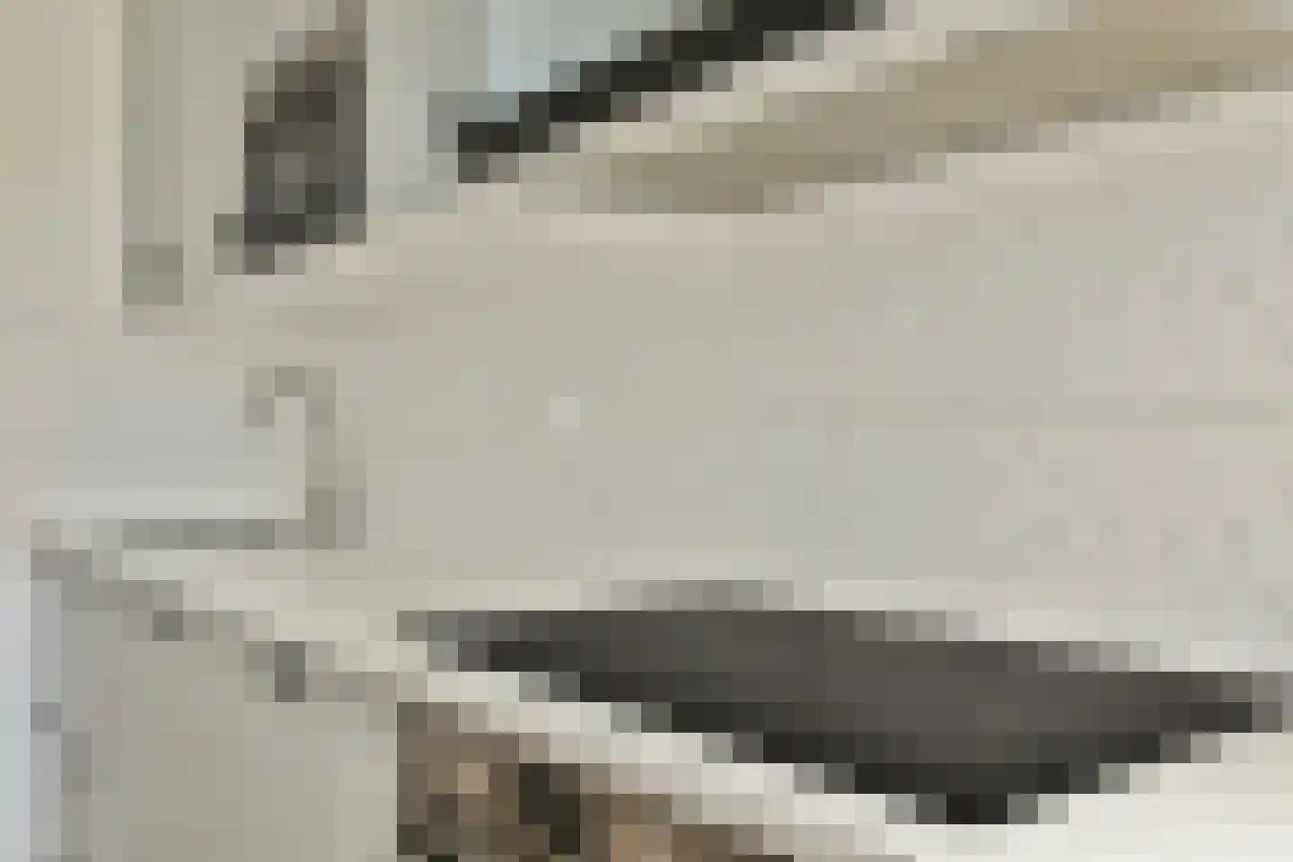 Kerstomaatplantsoen 20 Amsterdam thumbnail 11