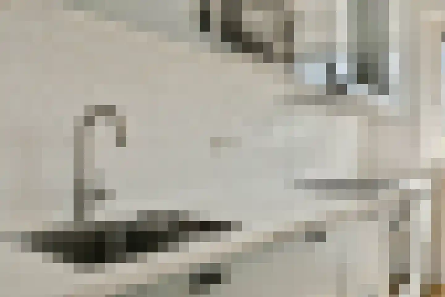 Kerstomaatplantsoen 20 Amsterdam thumbnail 12