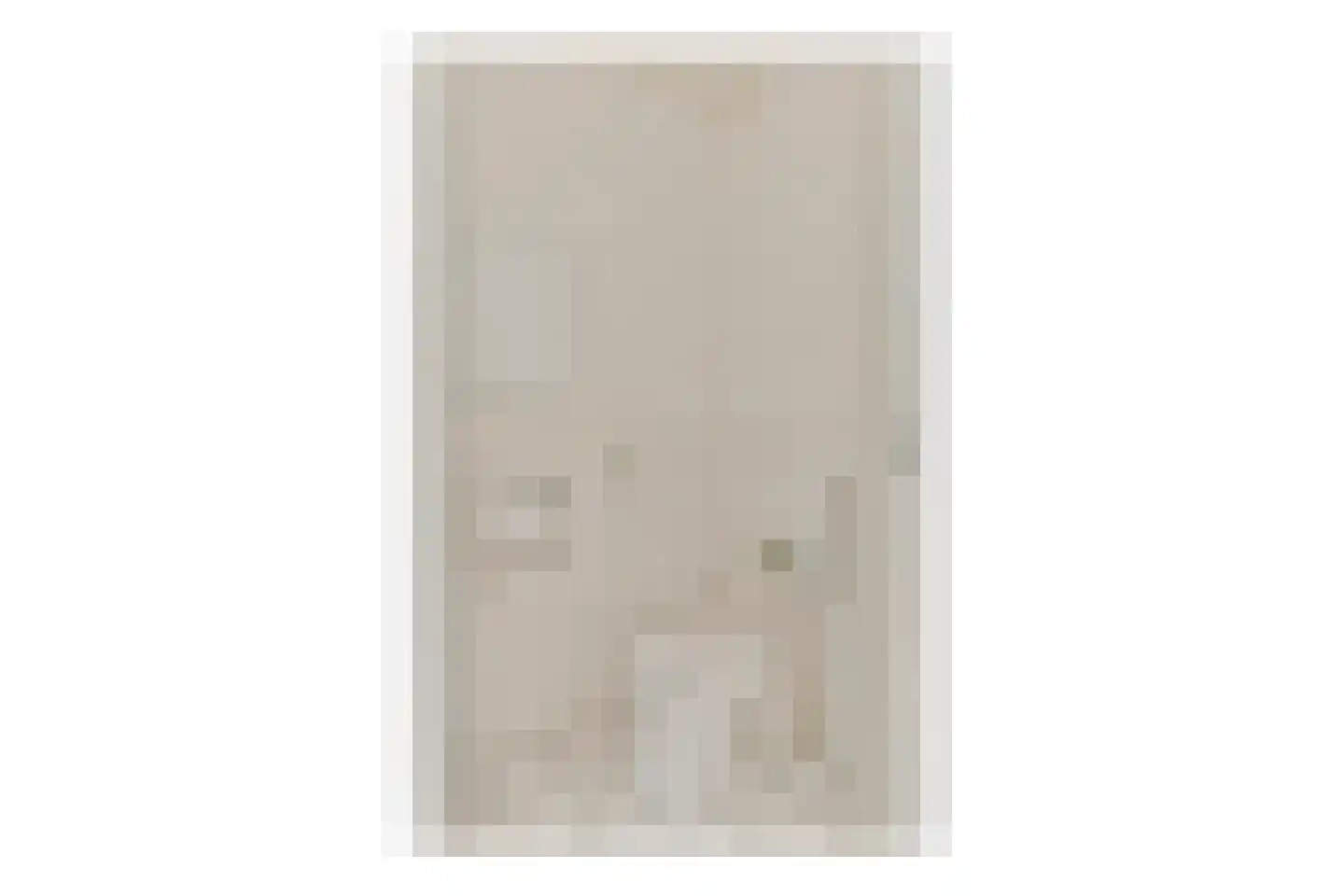 Kerstomaatplantsoen 20 Amsterdam thumbnail 16