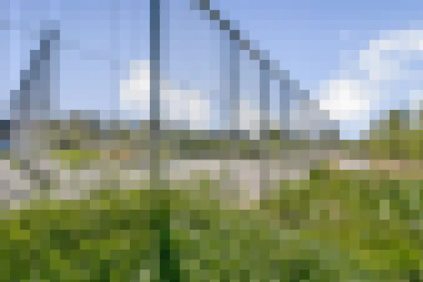 Kerstomaatplantsoen 20 Amsterdam thumbnail 28