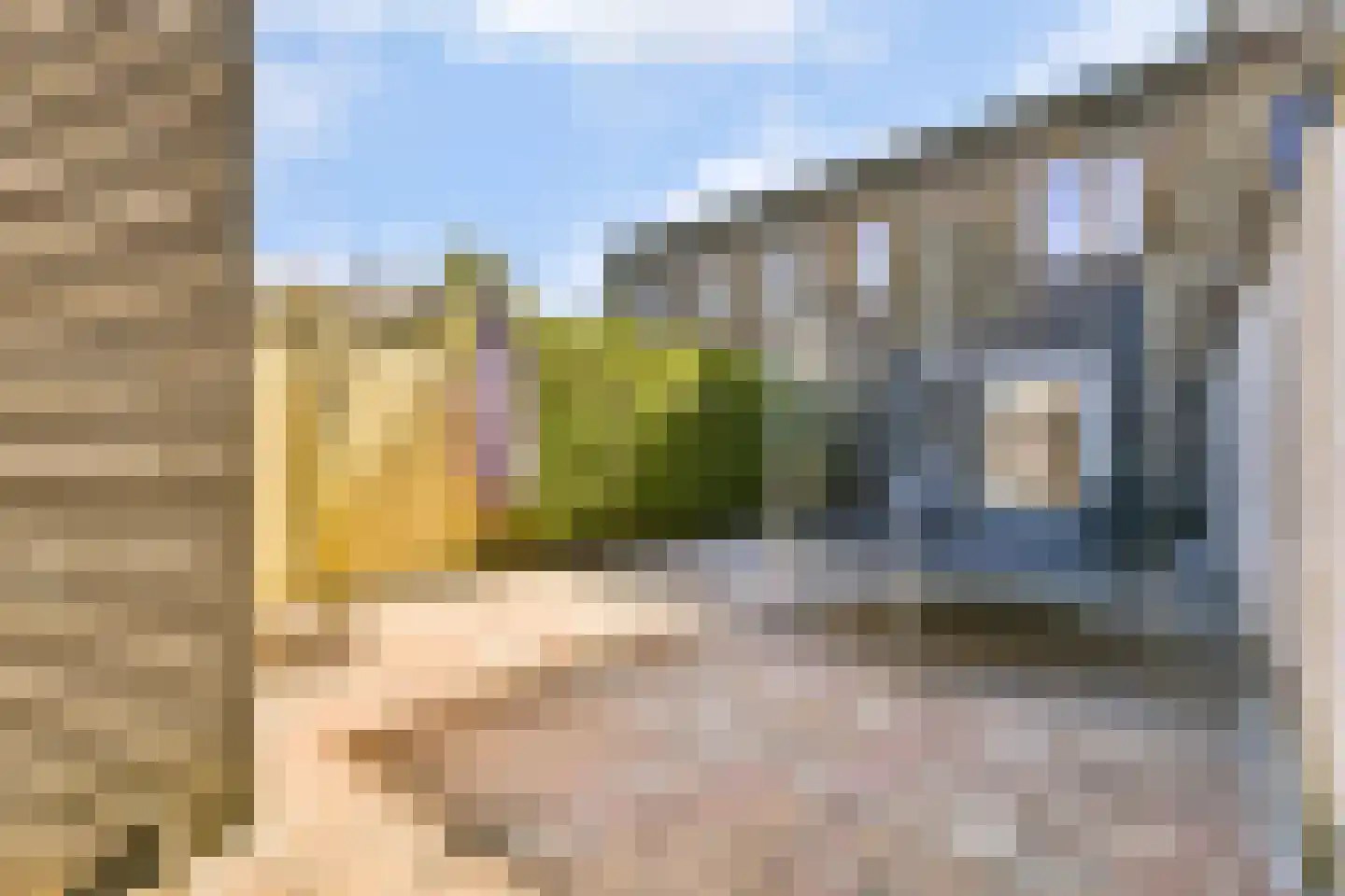 Kerstomaatplantsoen 20 Amsterdam thumbnail 5