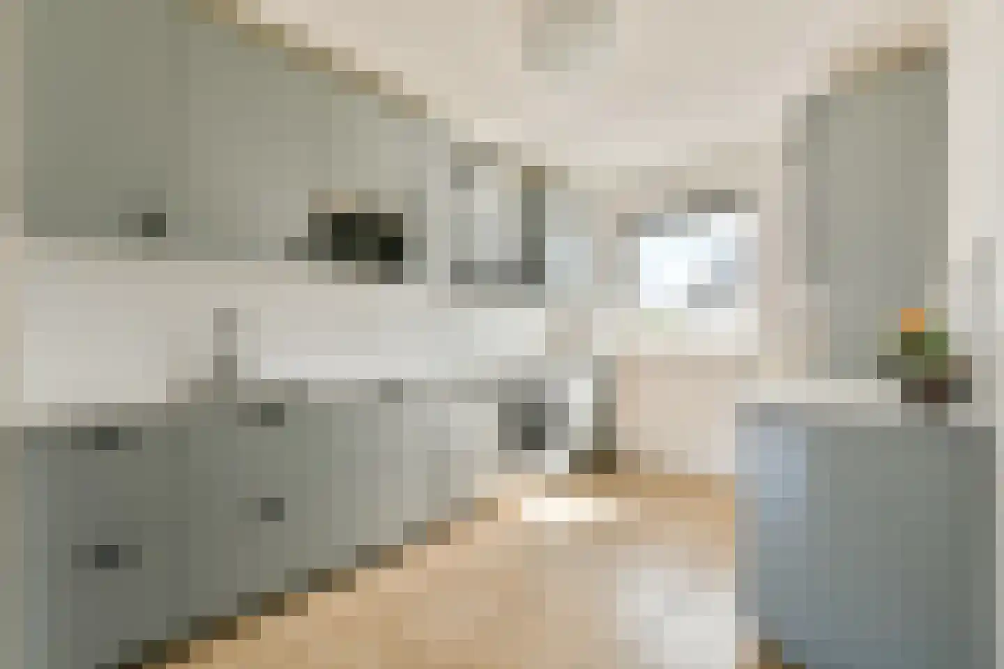Kerstomaatplantsoen 20 Amsterdam thumbnail 9