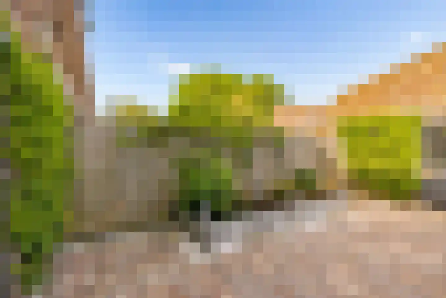 Kerstomaatplantsoen 26 Amsterdam thumbnail 11