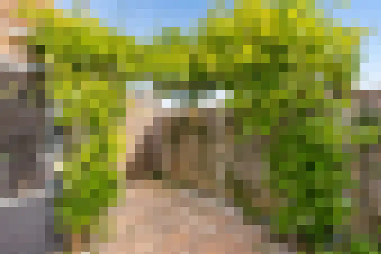 Kerstomaatplantsoen 26 Amsterdam thumbnail 12