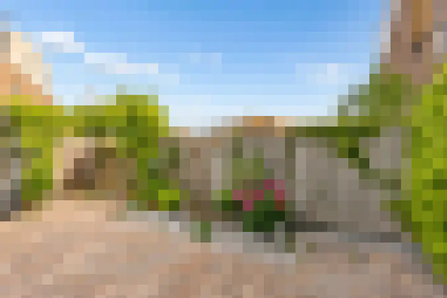 Kerstomaatplantsoen 26 Amsterdam thumbnail 13