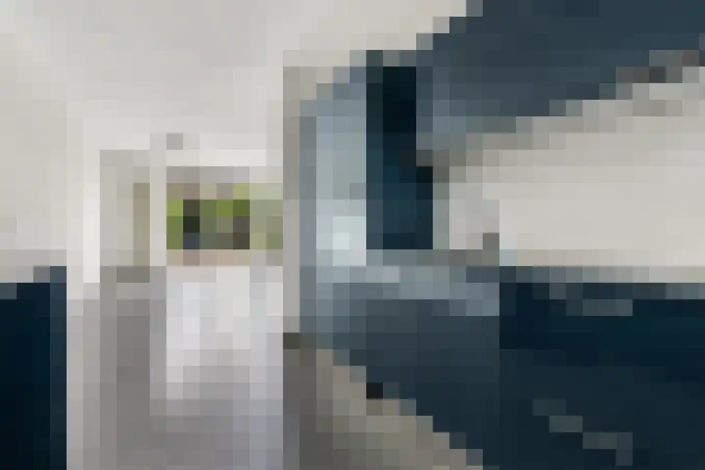 Kerstomaatplantsoen 26 Amsterdam thumbnail 18