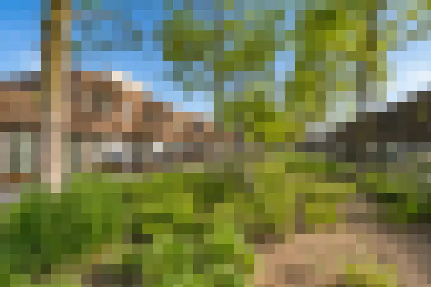 Kerstomaatplantsoen 26 Amsterdam thumbnail 34