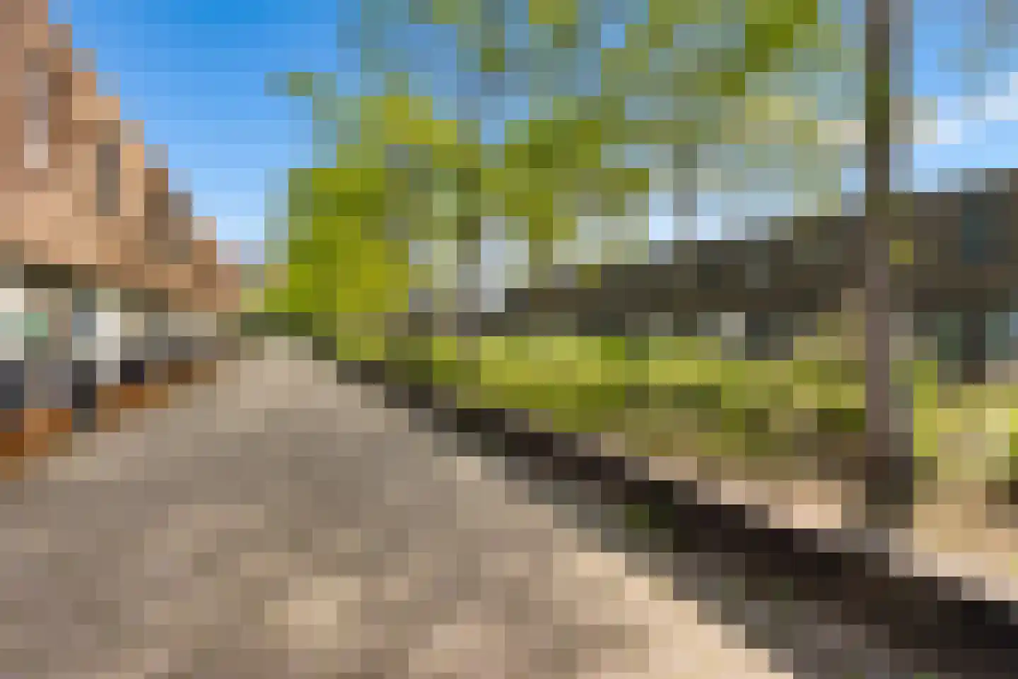 Kerstomaatplantsoen 26 Amsterdam thumbnail 35
