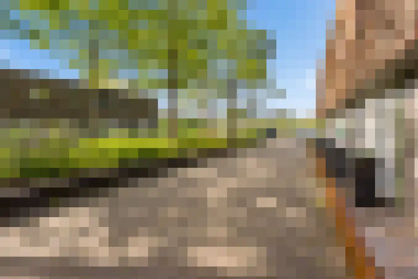 Kerstomaatplantsoen 26 Amsterdam thumbnail 36