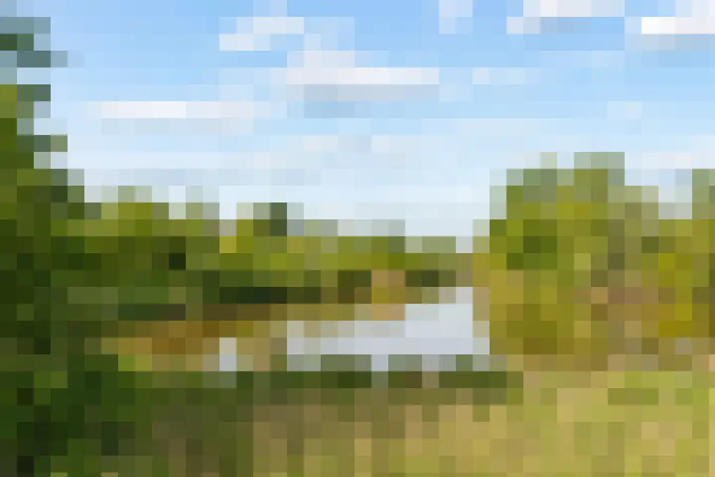 Kerstomaatplantsoen 26 Amsterdam thumbnail 38