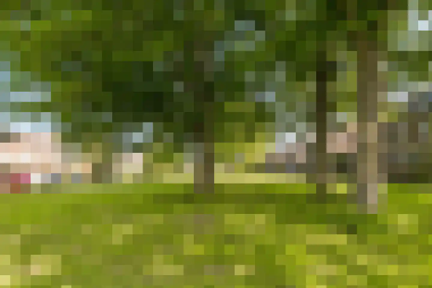 Kerstomaatplantsoen 26 Amsterdam thumbnail 39