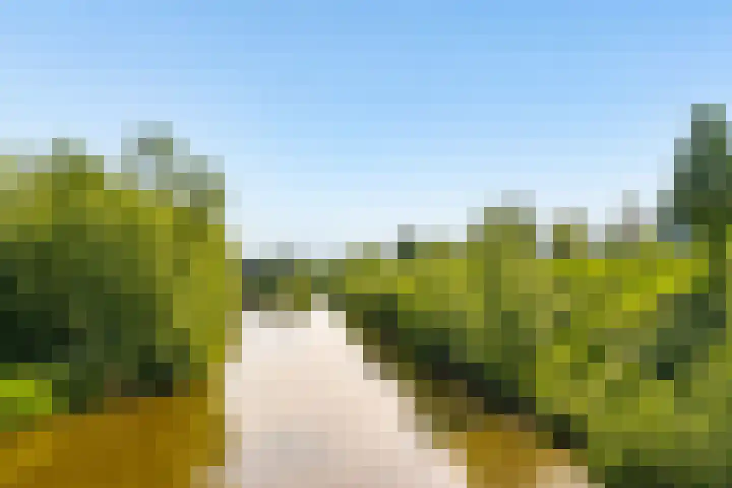 Kerstomaatplantsoen 26 Amsterdam thumbnail 40
