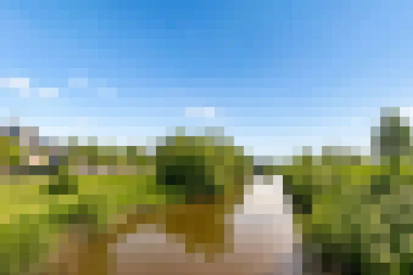 Kerstomaatplantsoen 26 Amsterdam thumbnail 41